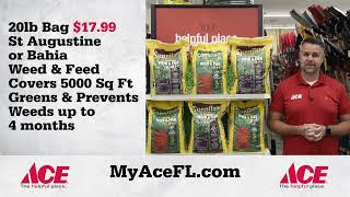 Ace Hardware Sunniland  Fertilizer Spring 2023 LMS