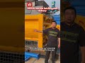 351 HZS120 Concrete Batching Plant Delivery | SICOMA 2m³ Mixer & PLD3200 Batching Machine