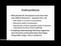 Cell Structure and Energy Conversion Quiz