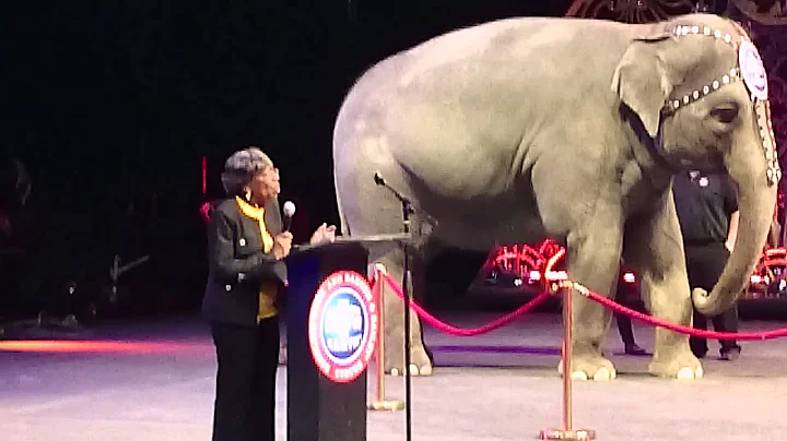 Ann Haley |  Ringling Bros. LEGENDS honoree