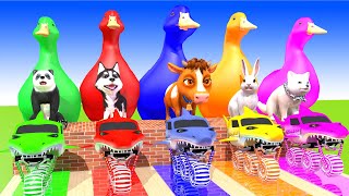 5 Giant Duck, Monkey, Lion, piglet, dog, cat, Tiger, Sheep, Transfiguration funny animal 2023