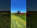 Mower Conditioner Cuts Grass Faster Improves Drying #HayMaking #FarmMachinery #EfficientFarming