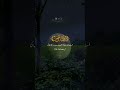 The Sound of Jannah 🌸 | Beautiful and Peaceful Quran Tilawat