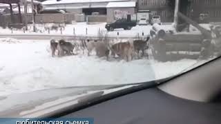 Очередное видео из рубрики Очередное видео из рубрики