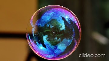 The Filter Bubble Effect: How Algorithms Shape Our Reality and Opinions