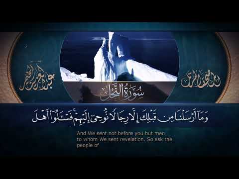 سورة النحل القارئ عبد العزيز المخيمر 1443ه        