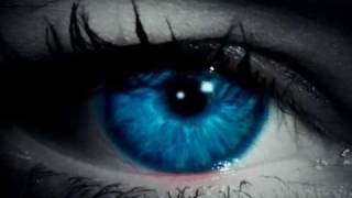 Without Mercy By Lisa Jackson Book Video Trailer