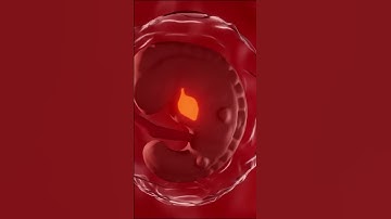 "The Unveiling Miracle: Life