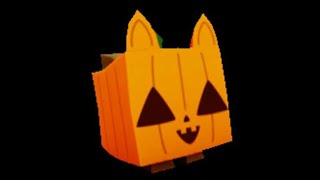 How Many Gems is Worth 1Q Huge Pumpkin Cats? Wealth