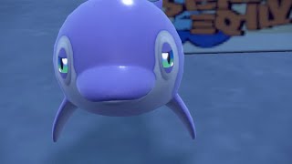 Finona The Finizen Wants To Evolve