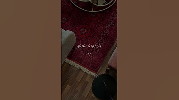 ( والله يريد أن يتوب عليكم ) ياسر الدوسري #تلاوة_مؤثرة