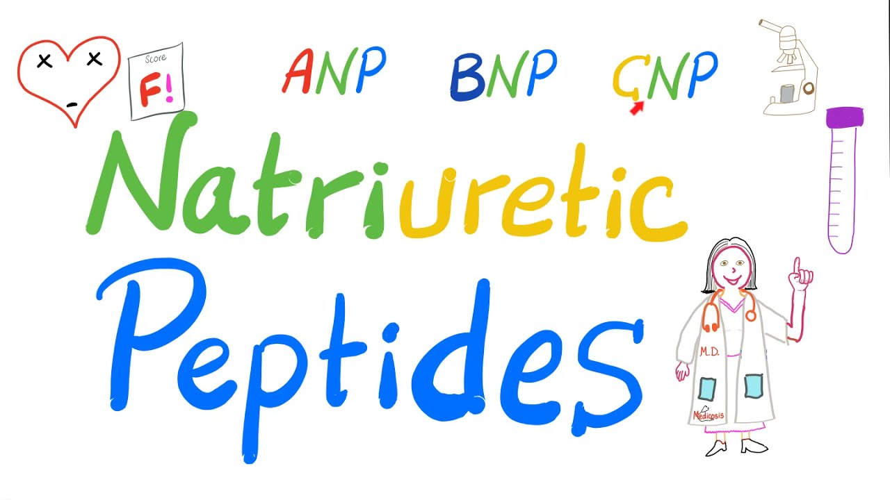Natriuretic Peptides | ANP, BNP & CNP | Atrial Natriuretic Peptide, Brain Natriuretic Peptide | Lab