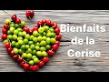 Les Cerises Des Trésors Santé à Déguster Les Cerises Des Trésors Santé à Déguster