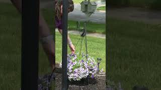 Third-party Amazon driver steals basket of petunias from client’s home.