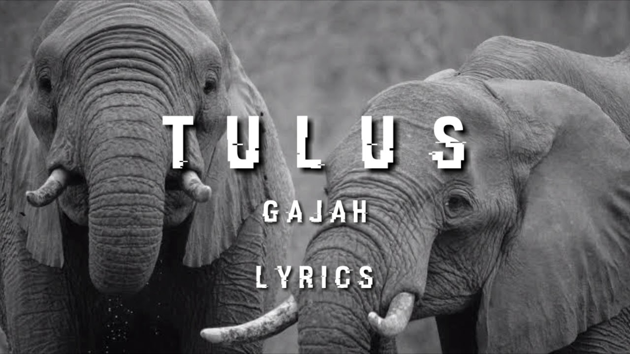 Tulus - Gajah (Lyrics) - YouTube