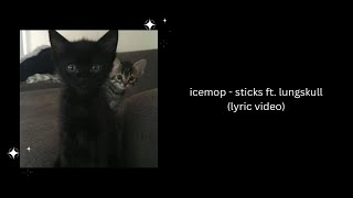 sticks - icemop ft. lungskull (Official Lyric Video) Resimi