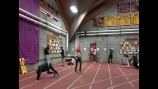 The Harlem Shake V1 (Williams Track Edition)