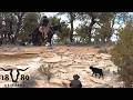 Calving Season On The Ranch! Life Of A Desert Cattle Rancher Mp3 Song