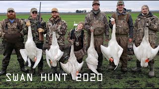 Swan Hunting | North Carolina | January 2020