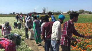 Visit of B.Sc agriculture students from Mata Gujri College, Fatehgarh Sahib, for RAWEP