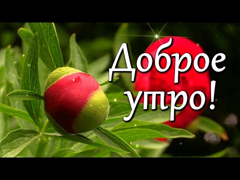 Доброе утро! А до лета осталось всего ничего. Готовимся? Добра, тепла и позитива! С Добрым утром