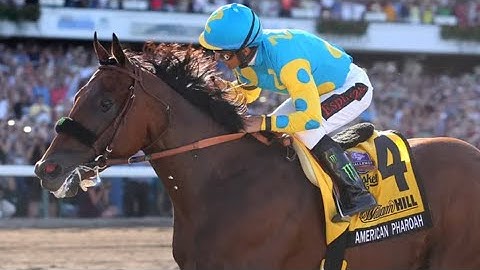 Our Reaction To RACE REPLAY: 2015 Haskell Invitational