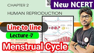 Menstrual Cycle | Menstrual Cycle in Hindi | Human Reproduction Class 12  #neet2025 #ncert