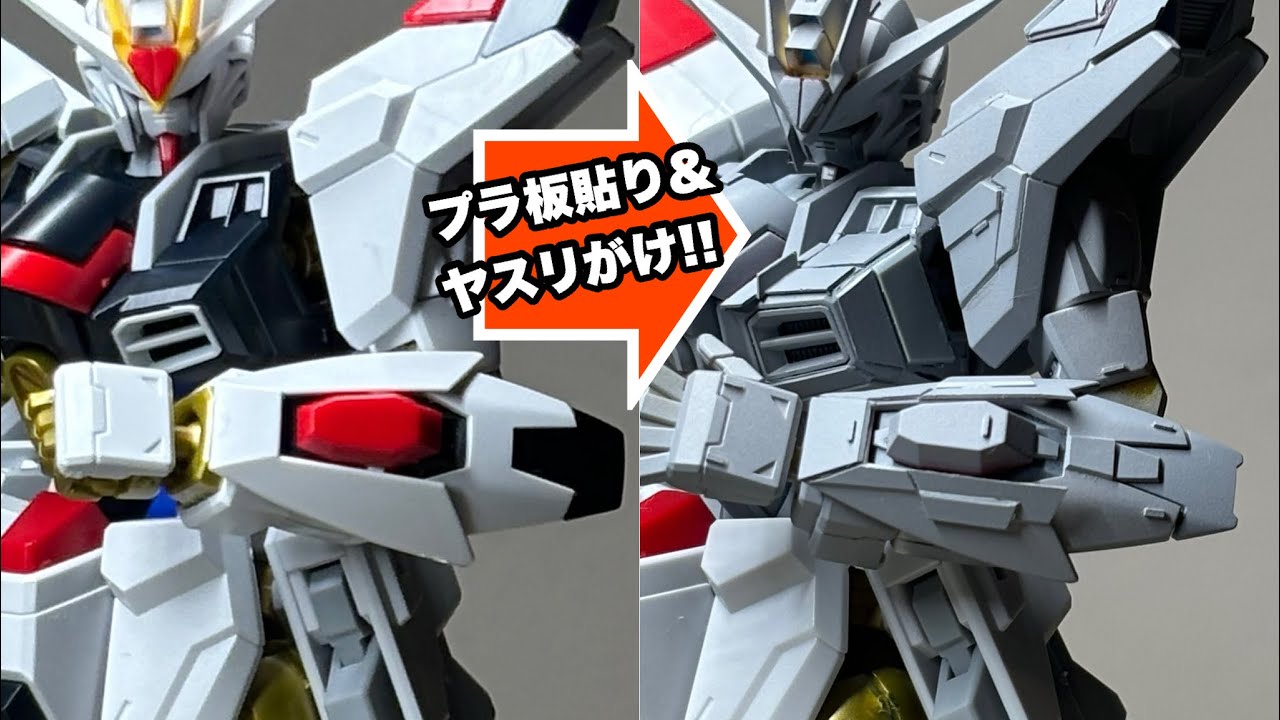 MG 1/100 ZGMF-X20A Strike Freedom Gundam - Garage Kit(ストライク