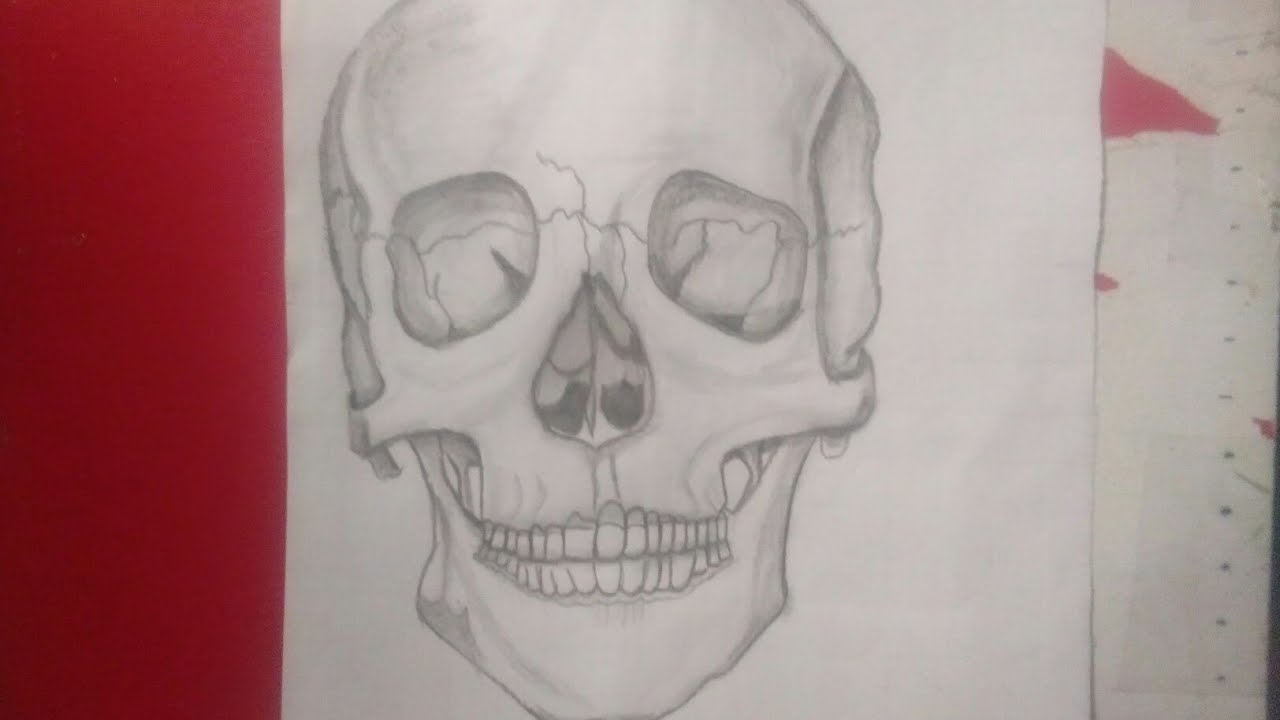 Tập Vẽ Đầu Lâu (1) | How To Draw Skull | Halloween, Vẽ Hình Xăm - Youtube