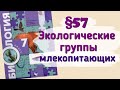 Краткий пересказ §57 Экологические группы млекопитающих. Биология 7 класс Константинова Бабенко