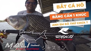 Cần Câu Cá 1 Khúc Mali Đánh Bắt Cá Hô Khủng Tại Hồ - Anh Em Đã Thử Chưa?