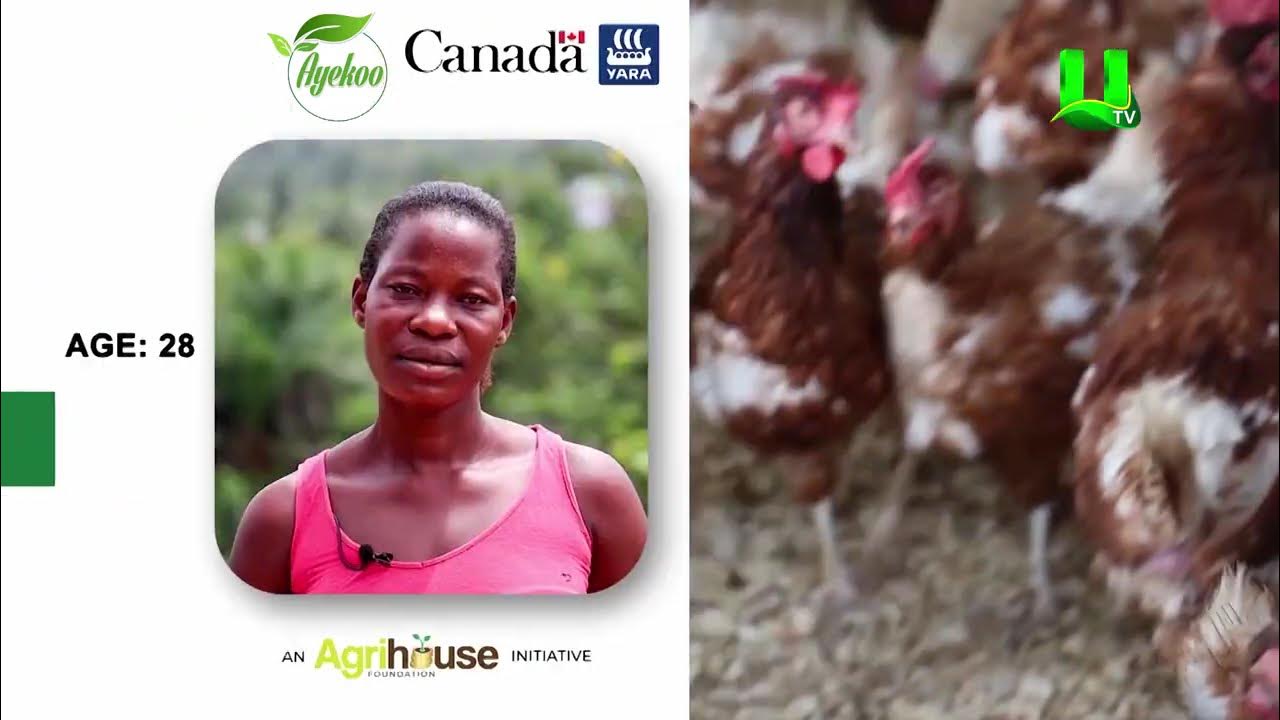 AYEKOO: OVERCOMING THE BARRIERS TO WOMEN AGRIBUSINESS DEVELOPMENT