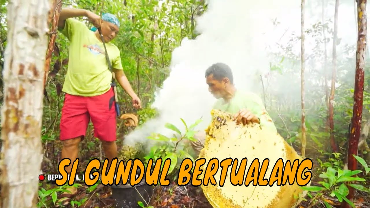 [FULL] PETUALANGAN SERU SI GUNDUL | JEJAK SI GUNDUL (09/06/25)