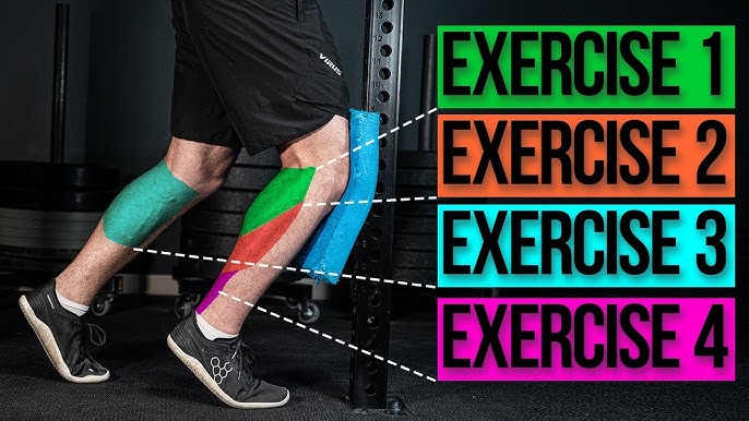 Quest Fitness  Calf Muscles 101: What You Need to Know