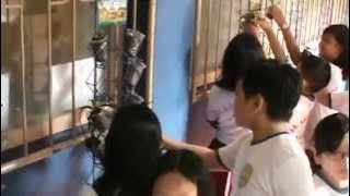 Download lagu Lomba Creative Green School - SDK Abdi Siswa 2015