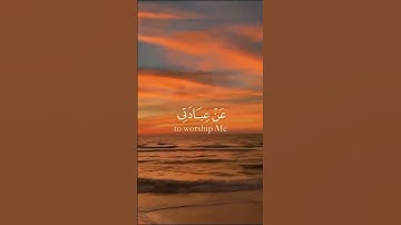 وقال ربكم أدعوني استجب لكم #قرآن #حالات_واتس #تلاوة #quran
