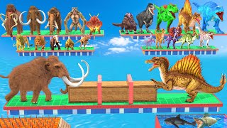 All Mammals of Arbs & ARK Dinosaurs Battle in Tug of War - Animal Revolt Battle Simulator by Animal Doodle TV 24,625 views 8 days ago 6 minutes, 35 seconds