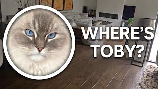 He Was Missing For an Hour Then I Saw THIS
