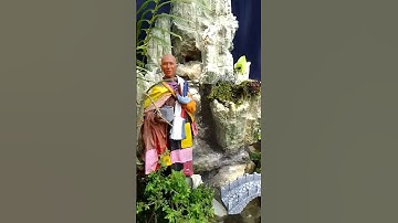 thầy thích minh tuệ _ làm tiểu cảnh hòn non bộ sân vườn