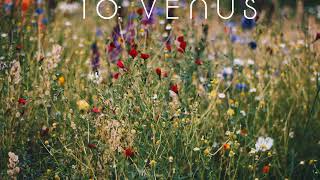 Episode Ten: Venus