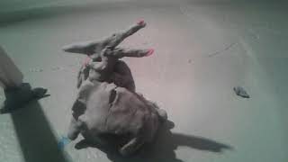 pteranodon vs dimorphodon | claymation