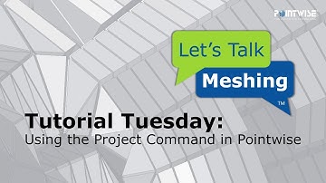 Using the Project Command in Pointwise