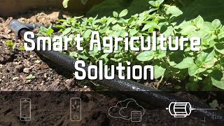 Smart Agriculture Solution