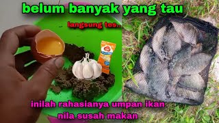 Testing racikan umpan mancing ikan nila babon susah makan #10