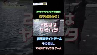 #ライトゲーム #釣り エギング行っても釣れなかった〜！それならマキジグマイクロを、投げてみて！！可愛いロックフィッシュが遊んでくれますよ〜