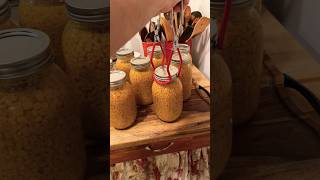 Canning Corn For The First Time