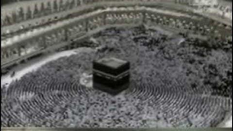 الشيخ ماهر المعيقلي صلاة المغرب 1\1\2009 تلاوة رااائعة