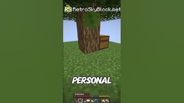 This Is The BEST SkyBlock Server!!