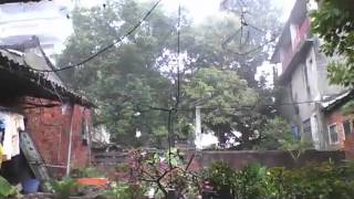斗六狂風暴雨 又來了.mp4