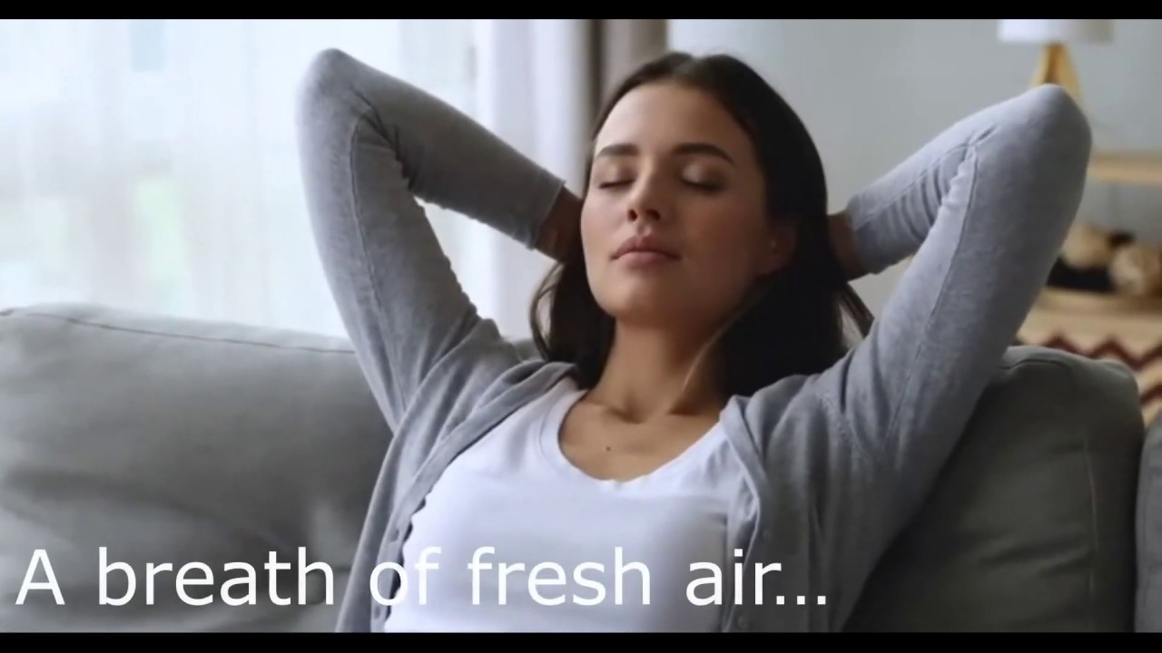 Woodpecker Air Purifier YouTube